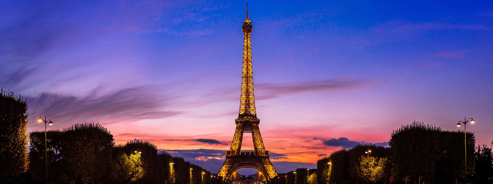 Cruise Banner 8